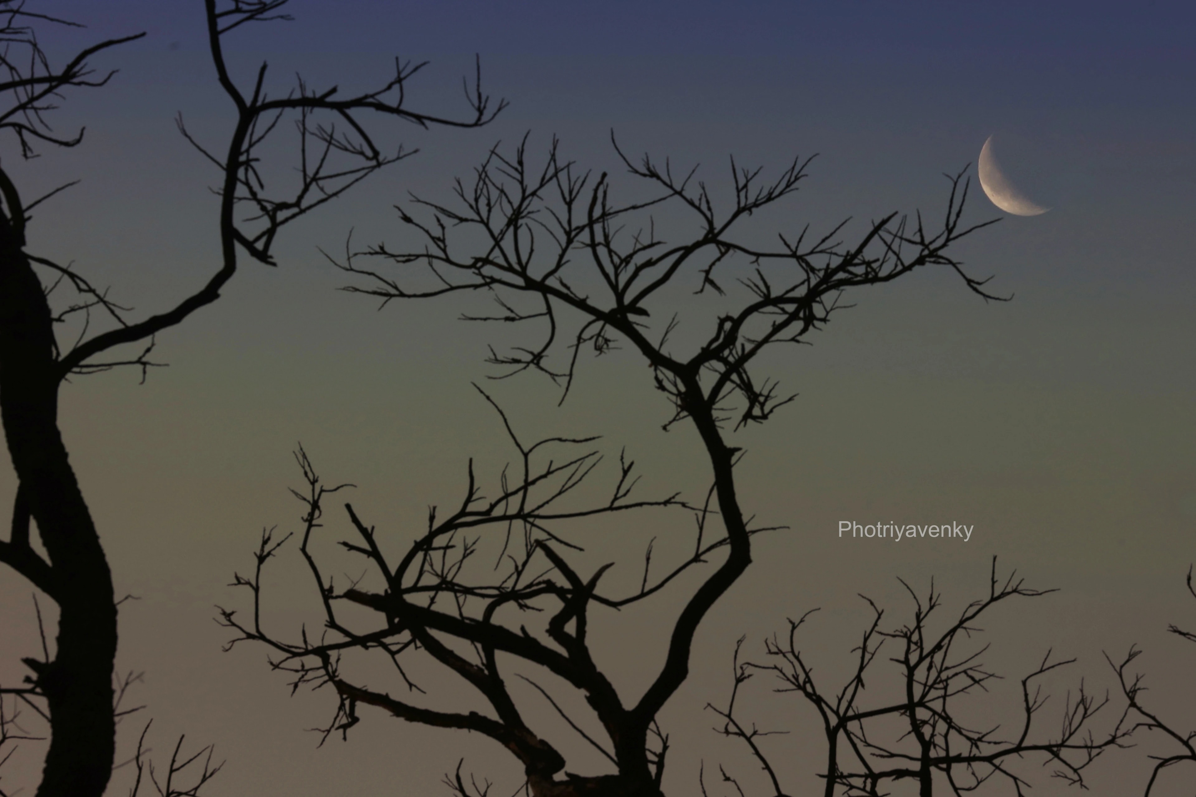 Photriya Venky Wallpapers 023